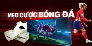 Tìm Hiểu Cá Cược Bóng Đá Go88 Và Cơ Hội Giải Trí Đầy Hấp Dẫn Cho Người Chơi