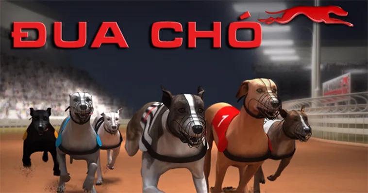 Cách Chơi Game Nhanh Đua Chó Go88 Dễ Hiểu Cho Người Mới Tham Gia
