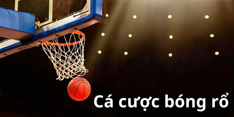 Khám Phá Toàn Diện Về Cá Cược Bóng Rổ Go88 Và Kinh Nghiệm Thực Chiến Hiệu Quả